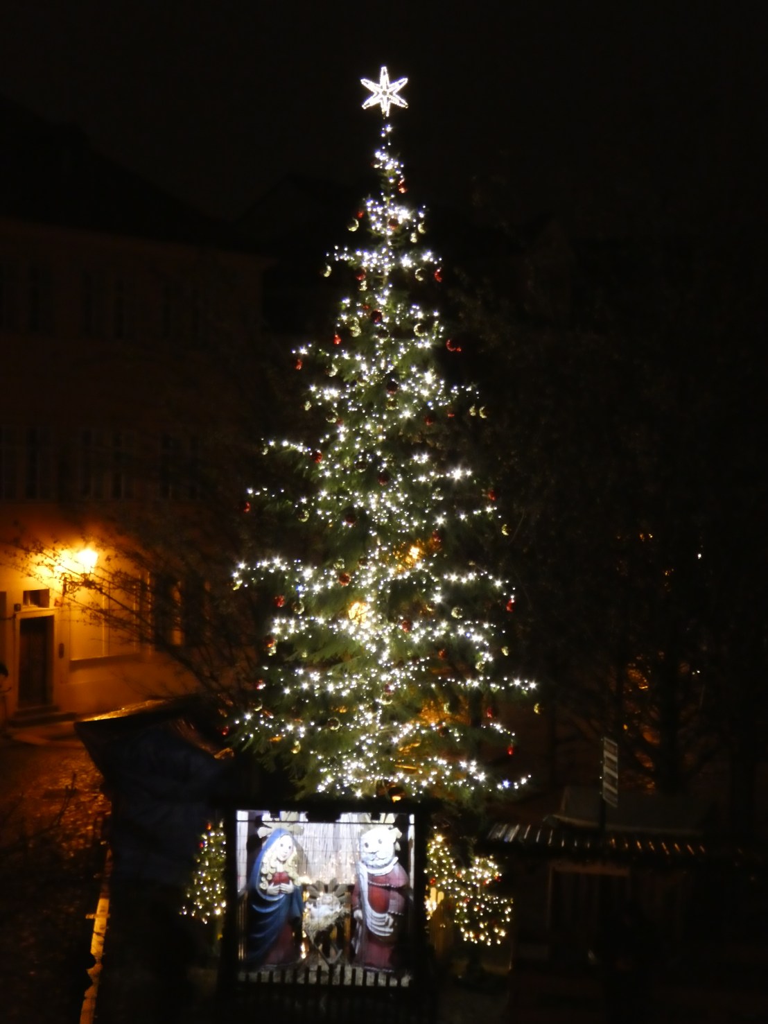 This gorgeous tree stands at the end of the mini Christmas market right near the Nativity scene.